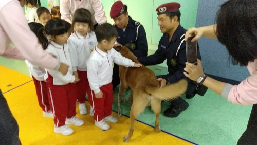 2019-1-7警犬表演